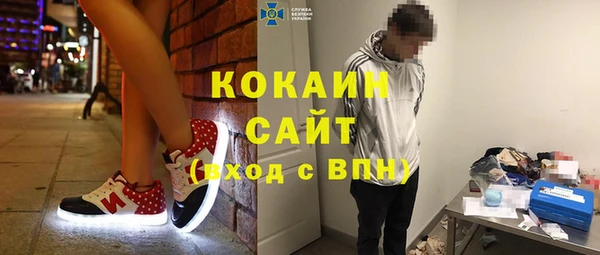 прущая мука Вяземский