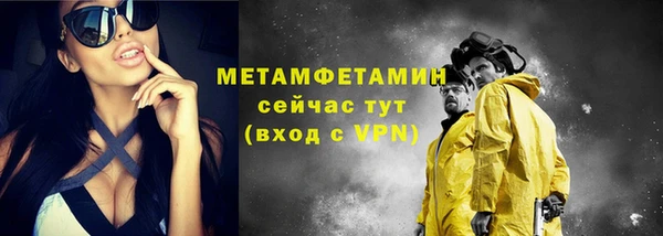 прущая мука Вяземский