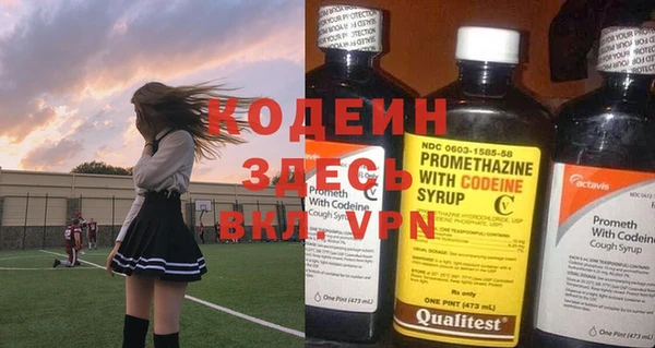 прущая мука Вяземский