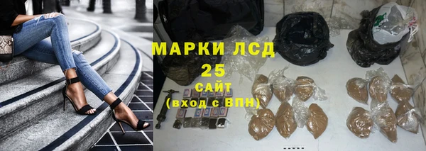 прущая мука Вяземский
