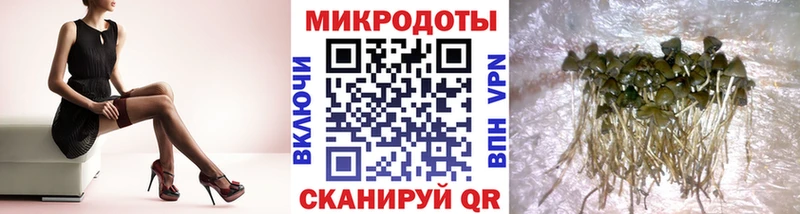 даркнет сайт Ессентукская MEGA Галлюциногенные грибы прущие грибы